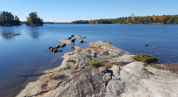 big gull lake 1