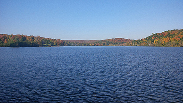 Kashagawigamog Lake 54
